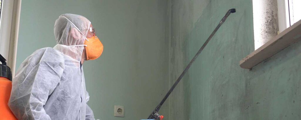 #1 Trusted Mold Remediation San Diego Services - Bill Howe mold remediation San Diego