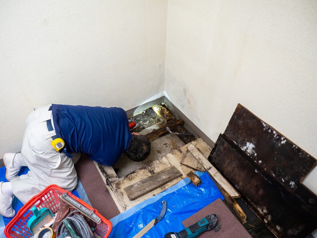Professional Carpet and Structural Drying in San Diego - Bill Howe