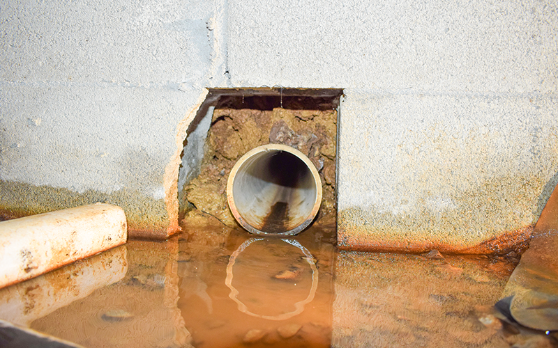 Crawlspace Clean Up - Bill Howe