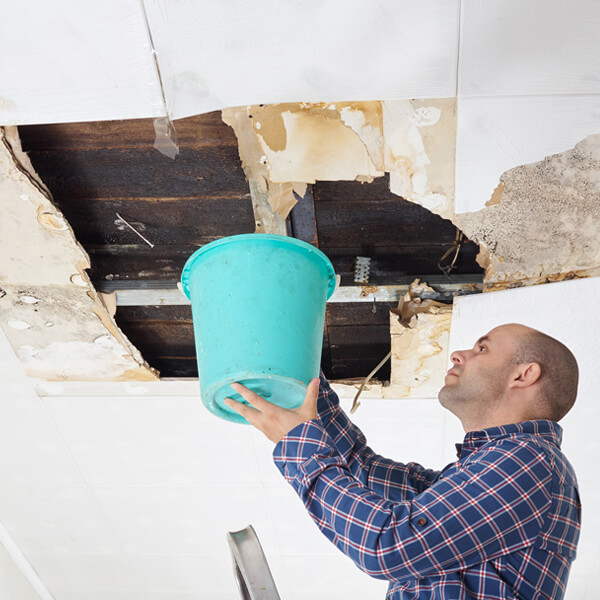 Water Damage Mitigation - Bill Howe