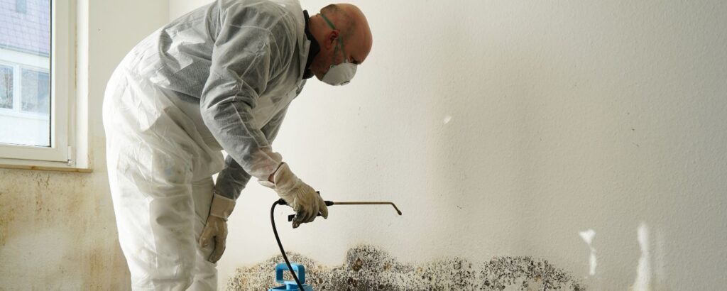 Mold Remediation: Understanding the Process, Costs, and Timelines - Bill Howe mold remediation