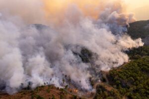 Emergency Restoration Services in San Diego, CA - Bill Howe Wildfire